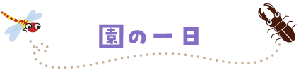 ̈